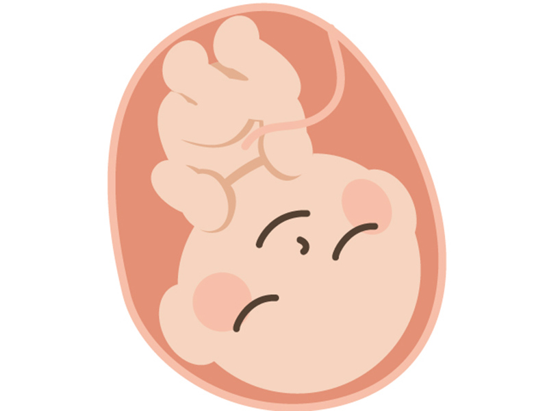 金沢文庫（横浜市金沢区）の歯医者、桜井歯科医院のマタニティ歯科