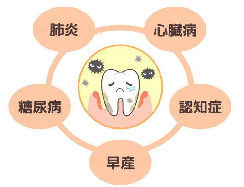 金沢文庫（横浜市金沢区）の歯医者、桜井歯科医院の歯周病治療