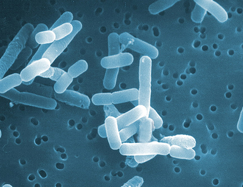 金沢文庫（横浜市金沢区）の歯医者、桜井歯科医院のバクテリアセラピー