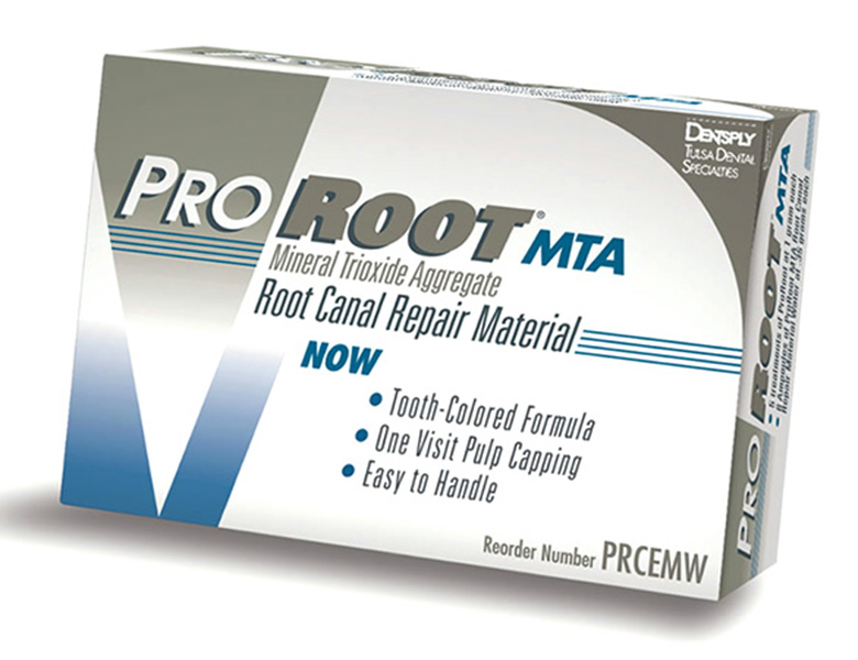 金沢文庫（横浜市金沢区）の歯医者、桜井歯科医院の精密根管治療